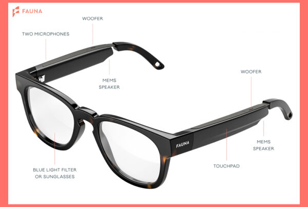 Fauna Audio Glasses Parts