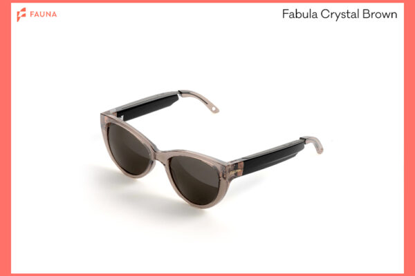 Fauna Audio Glasses Fabula Crystal Brown with Zeiss Sunlenses