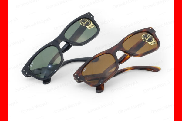 RayBan Sunglasses 2022 DSC04087