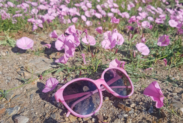 Γυαλιά Ηλίου Vogue VO5509s-307811 Ischia Pink Horn