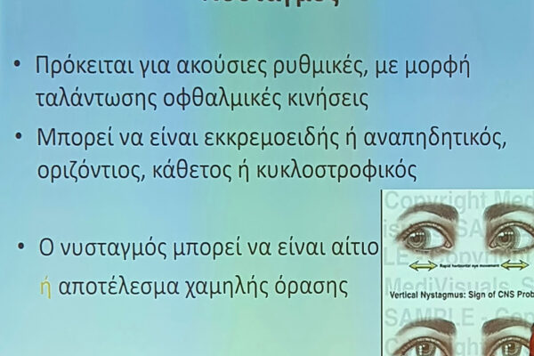 seminario-hmerida-eao-20h-xamhlh-orash-low-vision-2024-05-19-17
