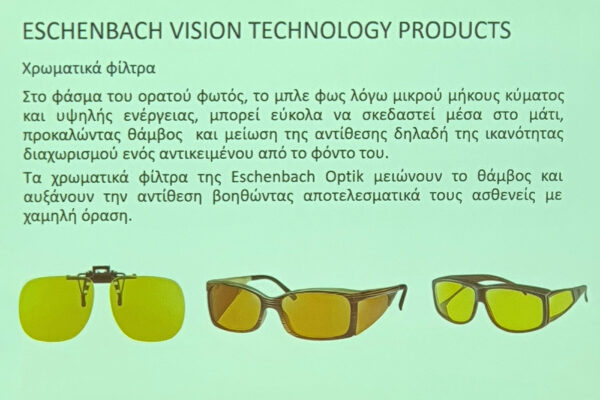 seminario-hmerida-eao-20h-xamhlh-orash-low-vision-2024-05-19-24