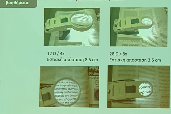 seminario-hmerida-eao-20h-xamhlh-orash-low-vision-2024-05-19-27