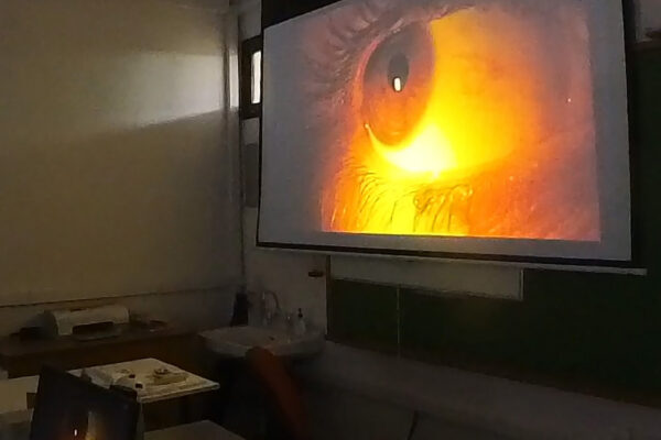seminario-hmerida-eao-20h-xamhlh-orash-low-vision-2024-05-19-31